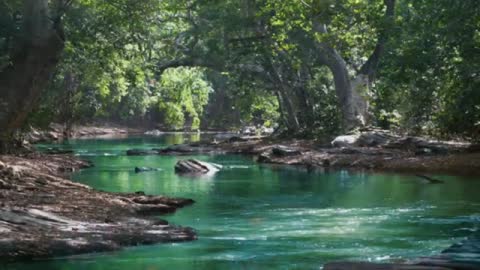 Relaxing Music | Sleeping, Meditation, Stress Relief | [1317] ⭐️