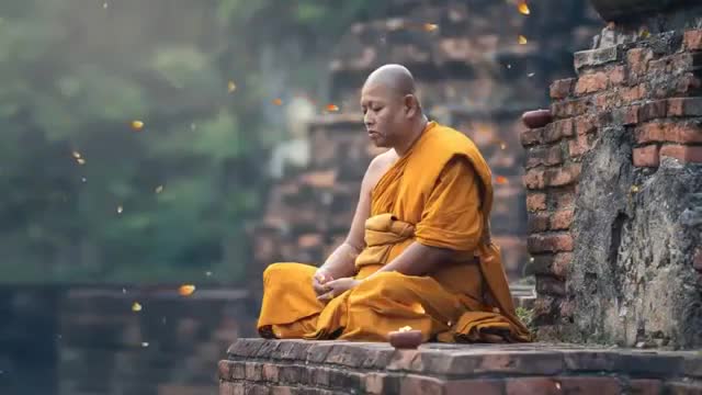 Peace of mind, balance, concentration and focus
