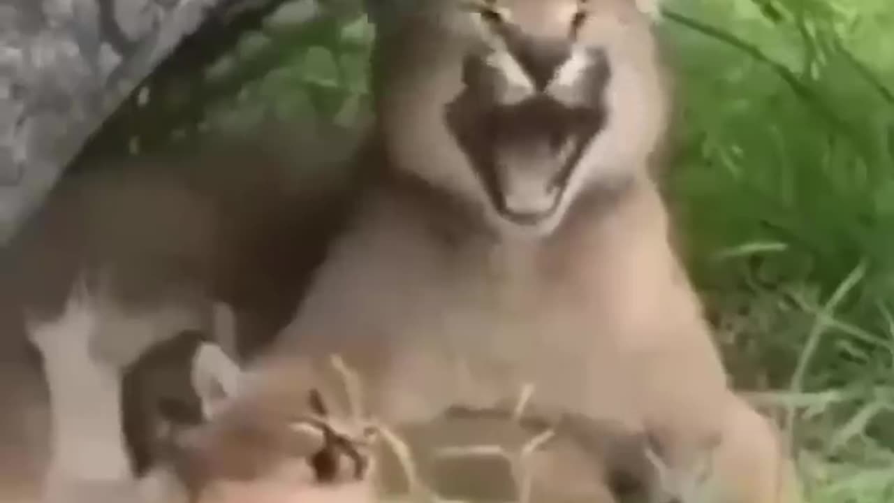Memes that will make you lol part 13