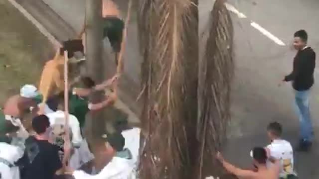 TORCEDOR ESPANCADO NA FRENTE DA POLÍCIA