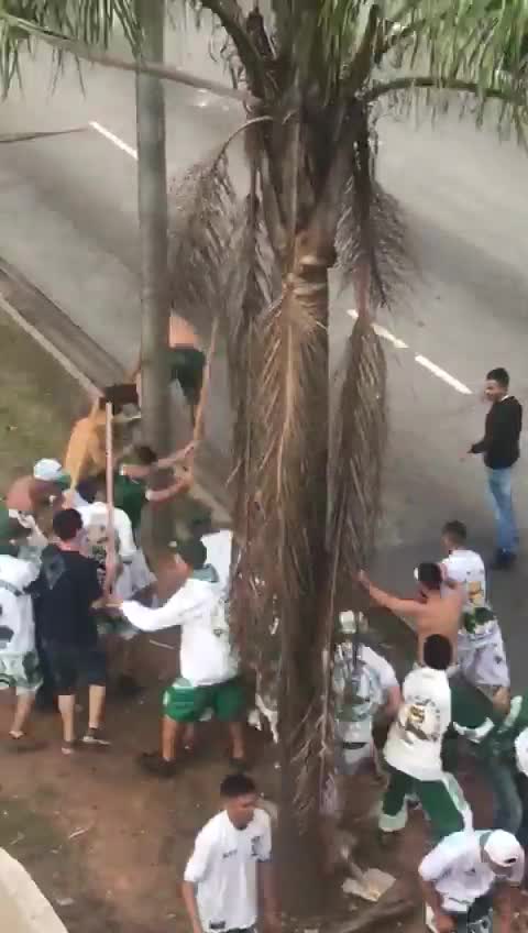 TORCEDOR ESPANCADO NA FRENTE DA POLÍCIA