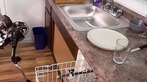 Robot Taking Care Of Chores