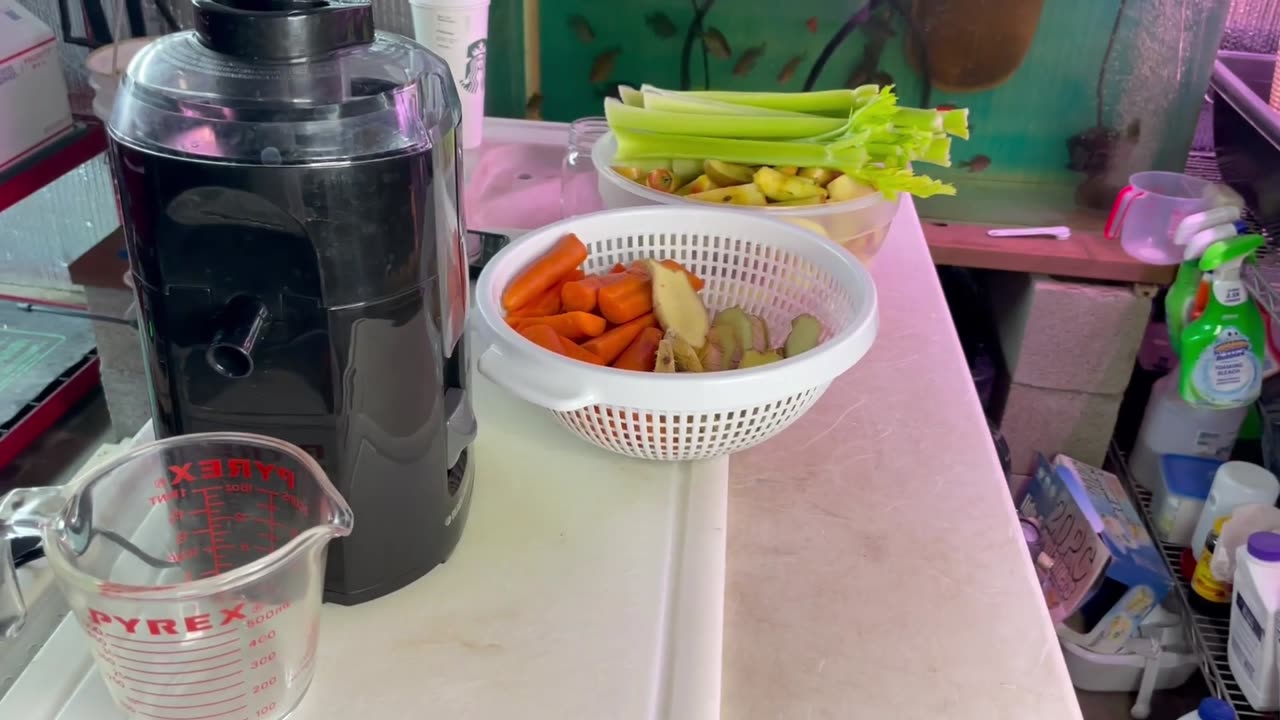 Get your daily dose of nutrition with the Black and Decker Juicer!