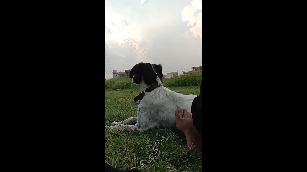 love is the part of life