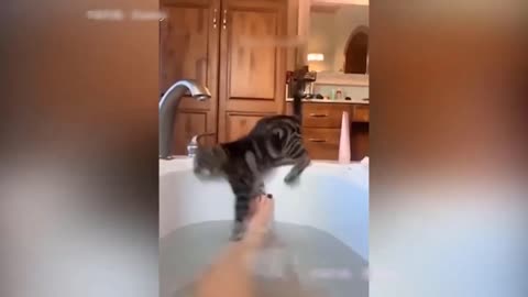Funny moments