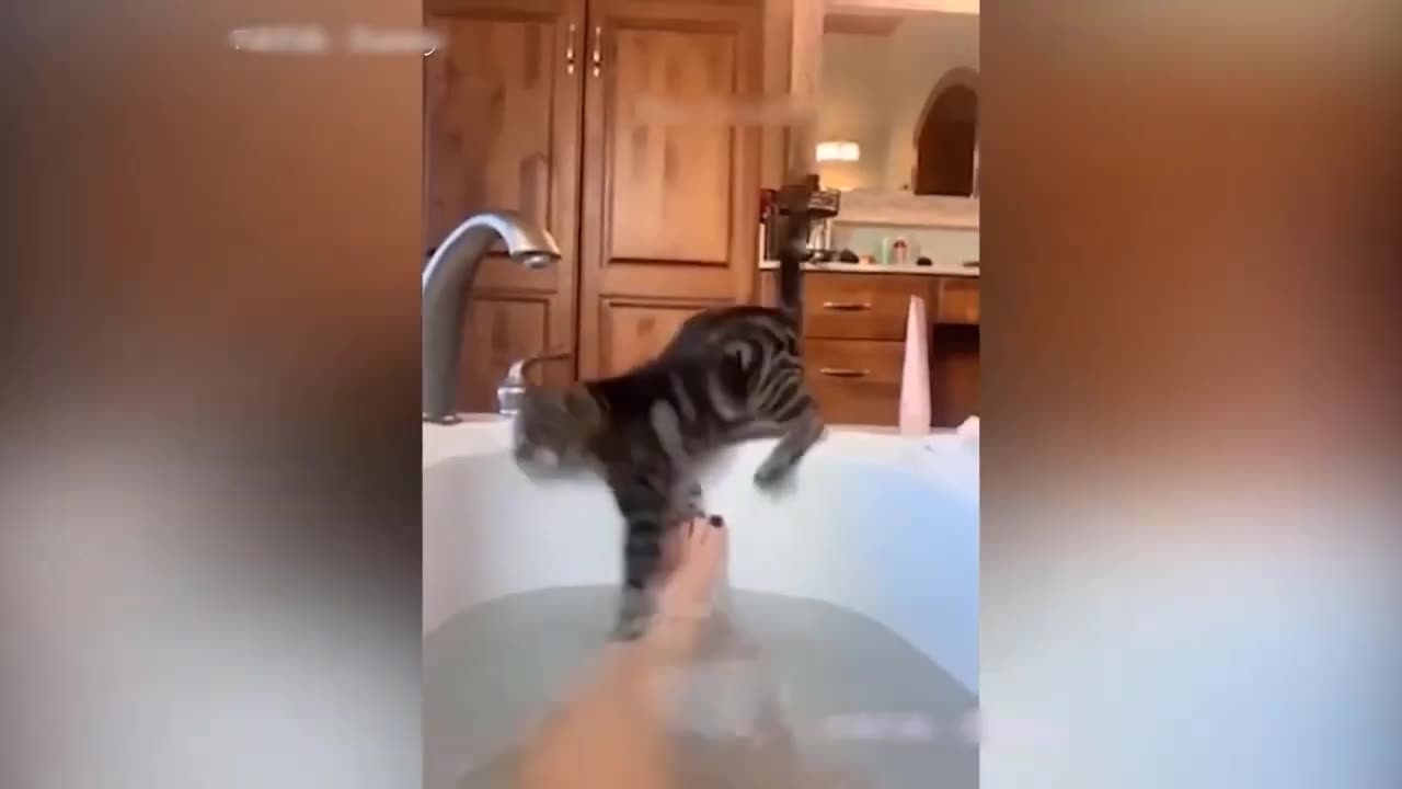 Funny moments