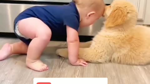 Animal and cute babies love