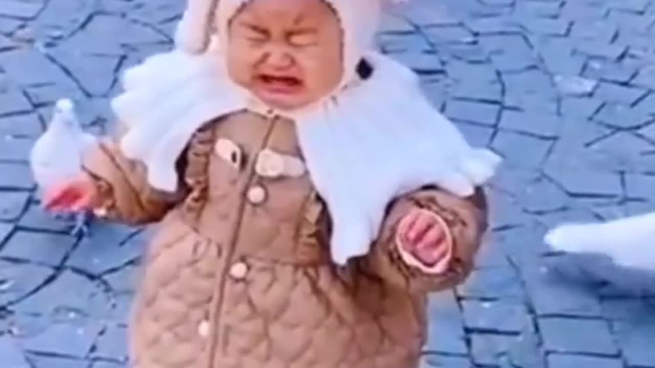 Cutest Baby Fails and Hilarious Moments 😄 | Adorable Reactions You Can't Stop Watching