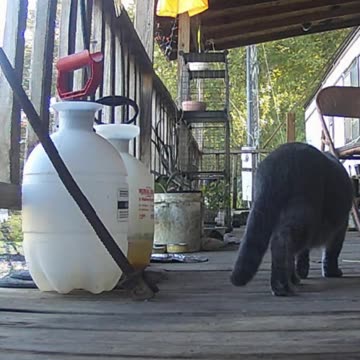 EA S41 - I Feel Something...