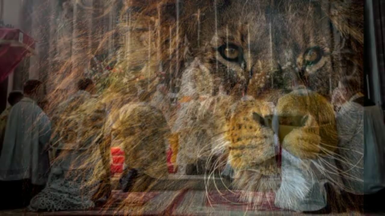 Santo Rosario en latín💥Misterios Gloriosos 🙏✝
