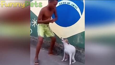 best funniest animal videos 2023 😂 funniest cats and dogs 😹🐶