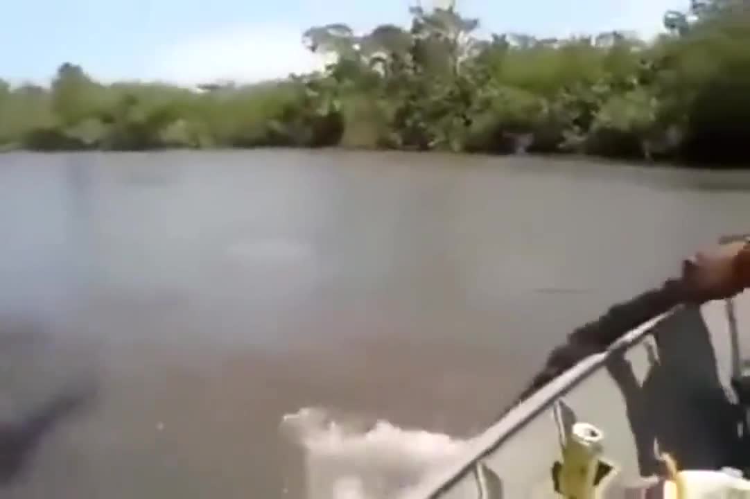 What was that?