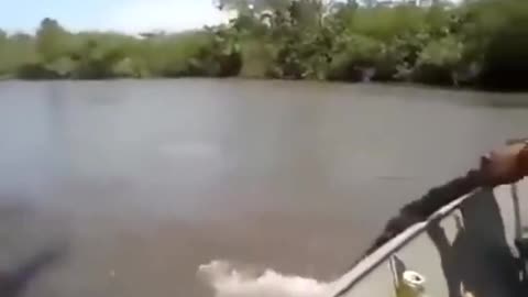 What was that?