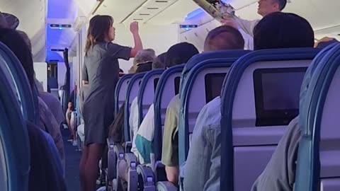Airliner Ceiling Panel Dislodges During Landing