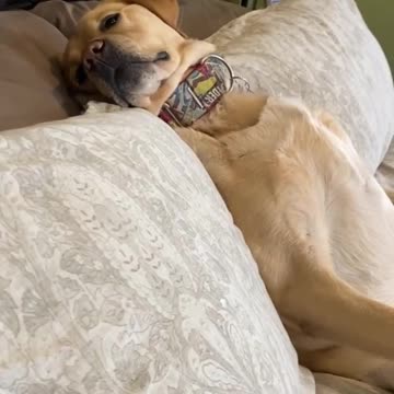 MAGNUS SURPRISE HIS DADDY.mp4