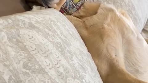 MAGNUS SURPRISE HIS DADDY.mp4