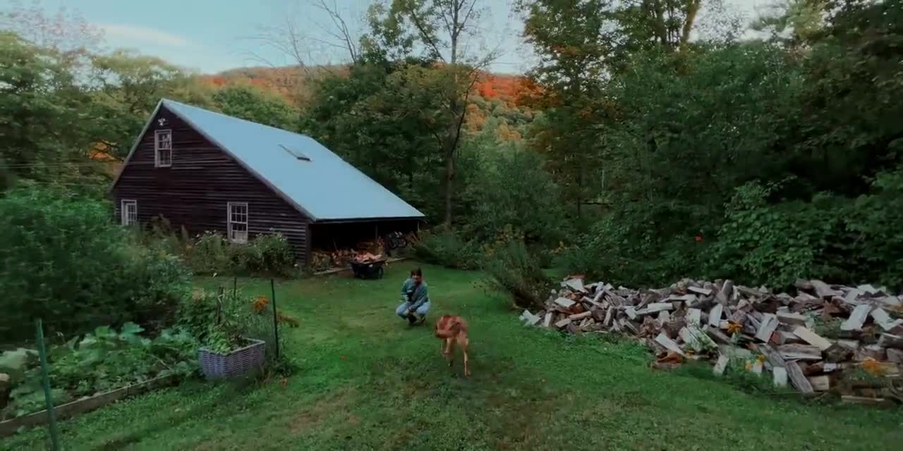 First Day of Fall 🍂 Autumn Overnight at Off Grid Riverside Cabin 🍁 Fall Foliage Adventures-18