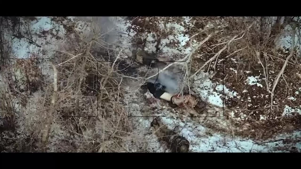 You poked the Bear, over and over...