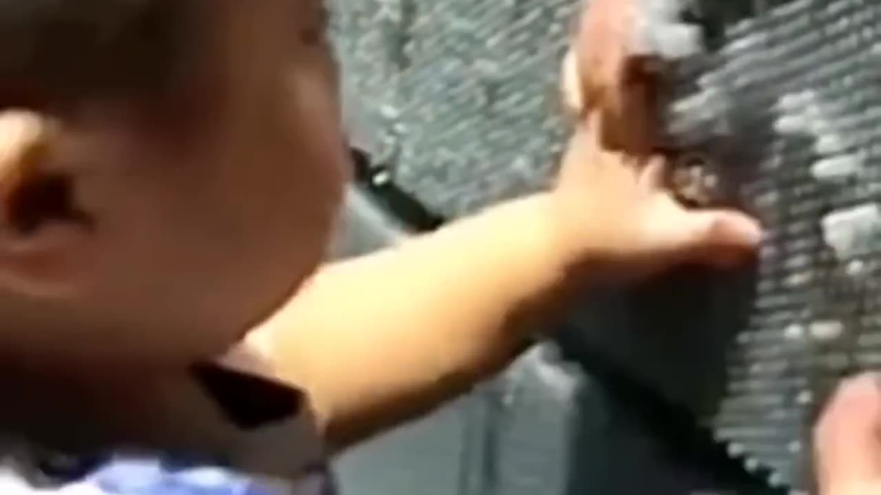 Random Videos Memes Compilation #1