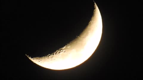 Dec 23 Crescent Moon Zoom with Silhouette