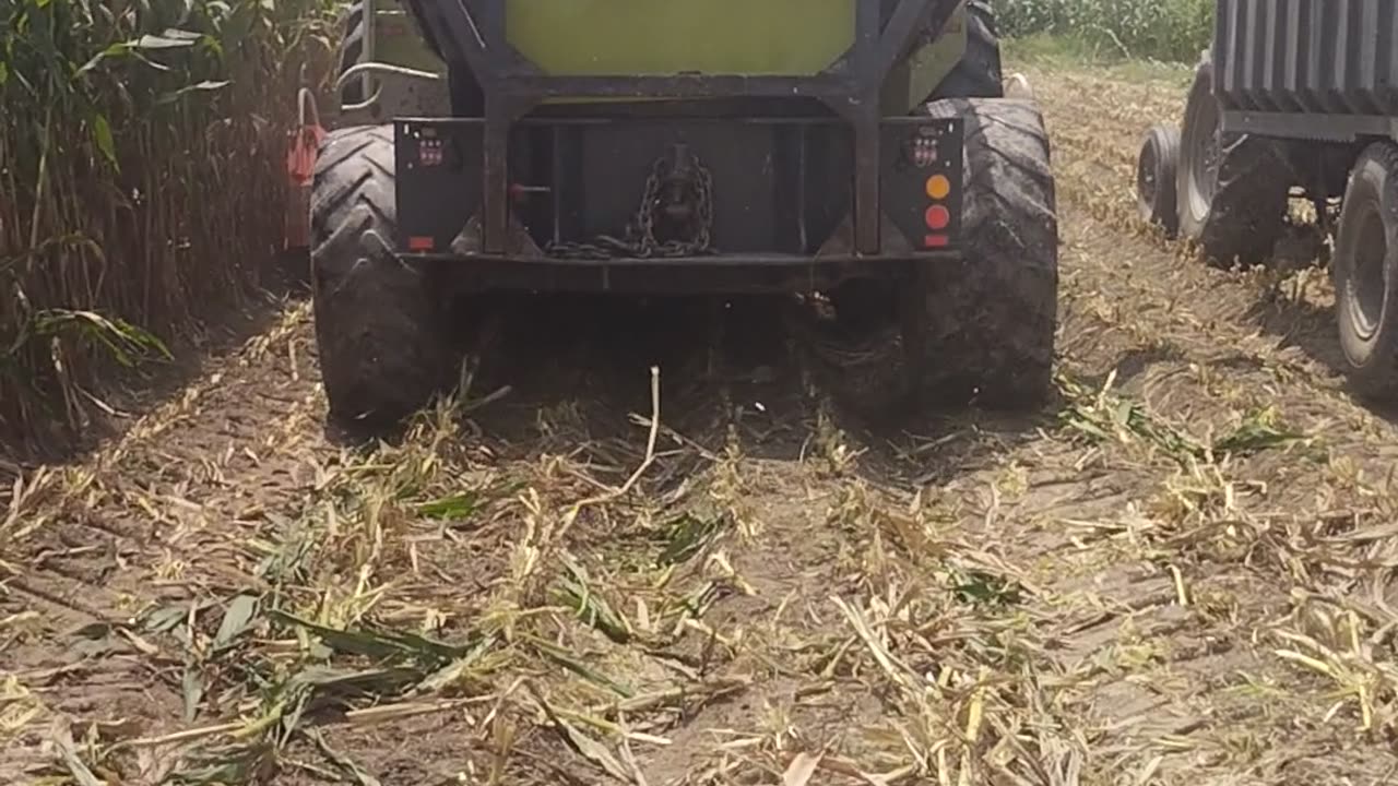 Silage Machine Working