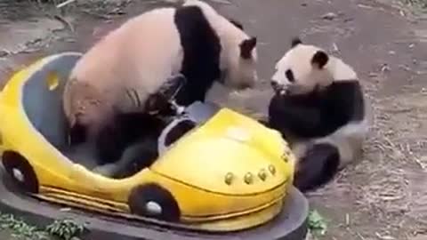 Oh those Pandas 1.