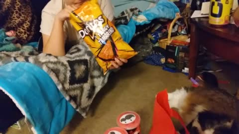 Reaction to Doritos Tangy Tamarind Chips