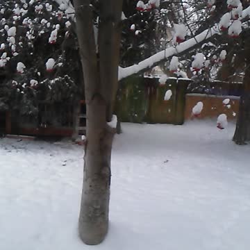 fireplace and backyard idaho