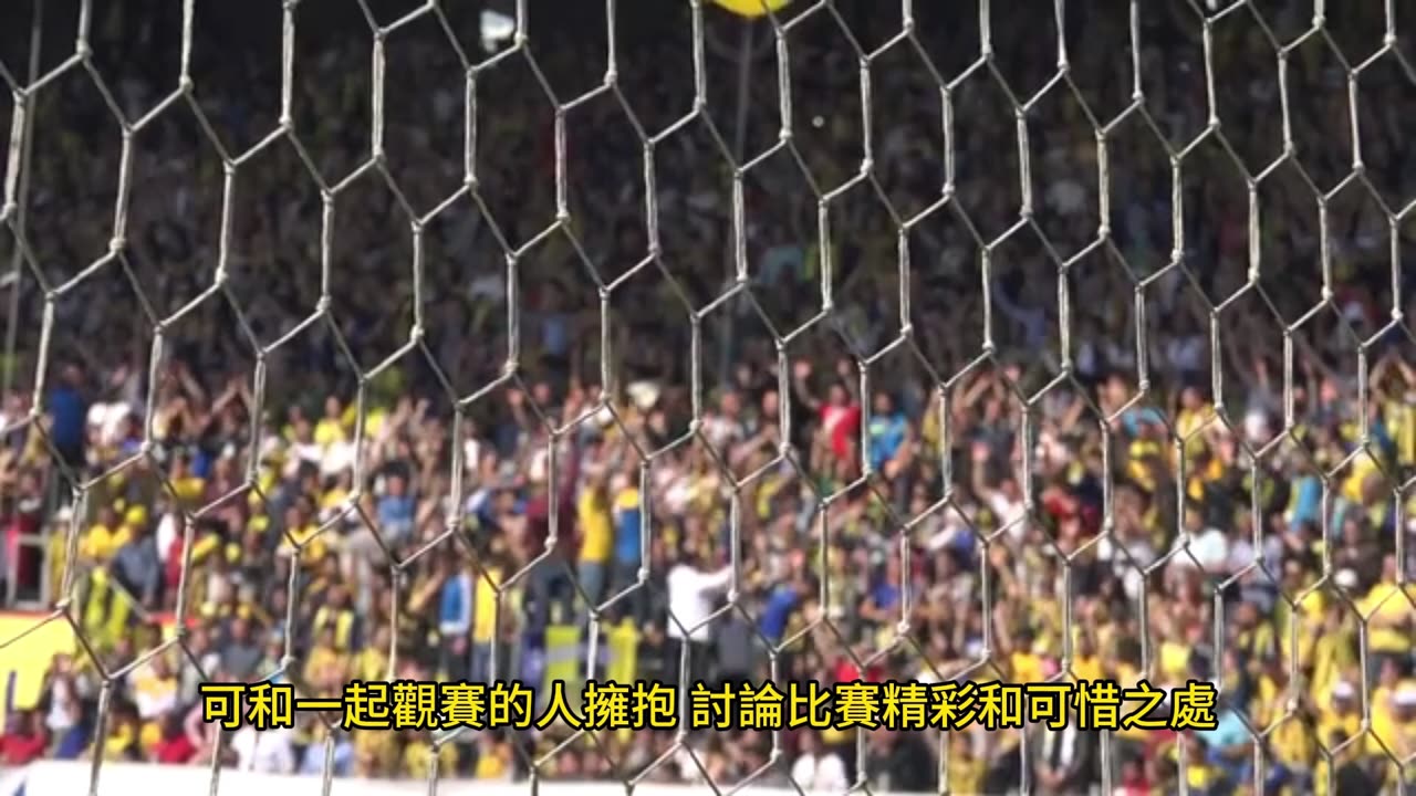 現場看體育比賽 等同找到工作幸福感