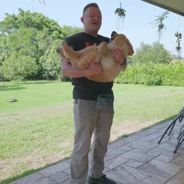 Try These 3 Tests to See if YOUR Puppy Is a Winner