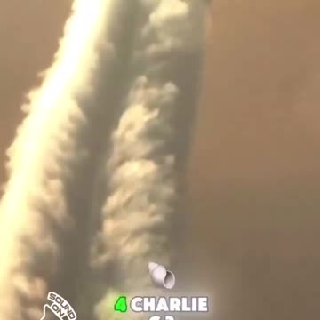Robert F. Kennedy Jr. Responed to this video by saying “we will stop the crime” of “chemtrails.”