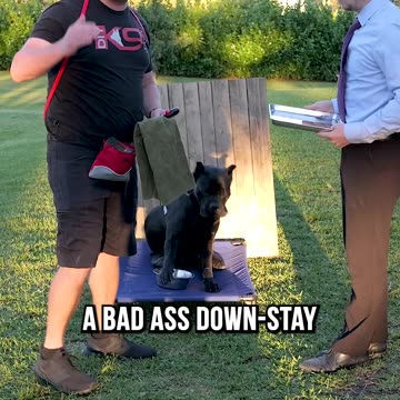 Want a Great Down-Stay? Try Room Service!