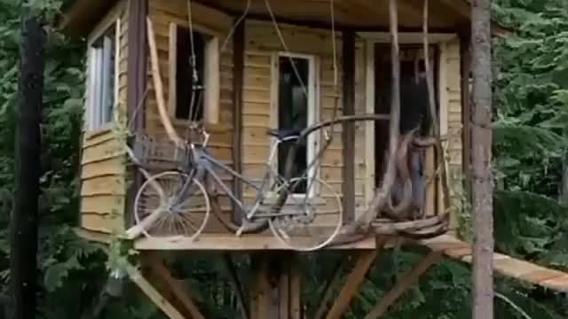 Log cabin