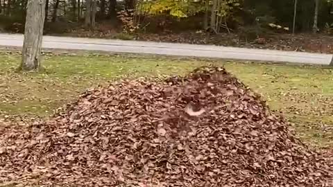 You RAKED⁉️