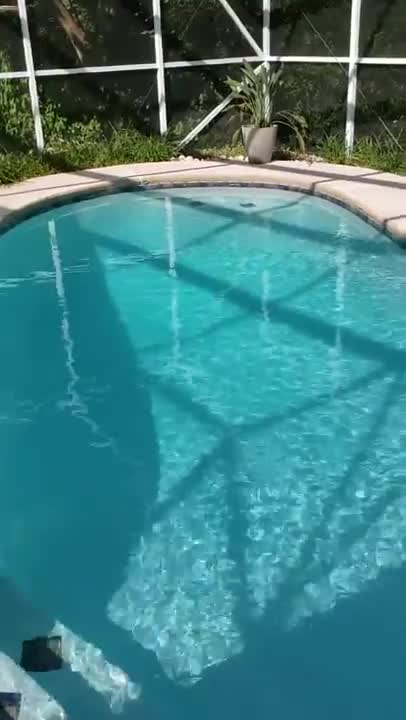 Pool 2.0 completed 2019