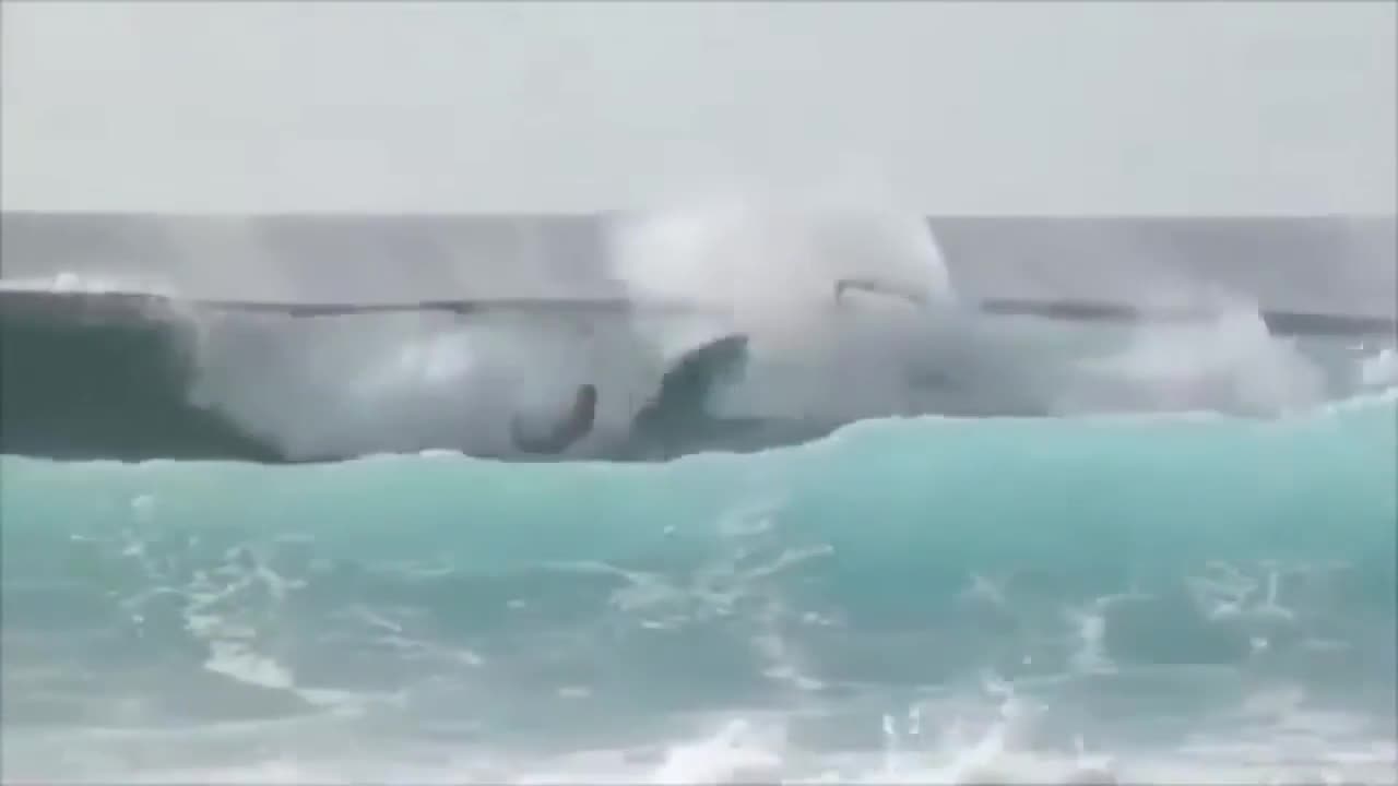 Guy Pushed His Friend Off The Surfboard To Give Himself Some Space