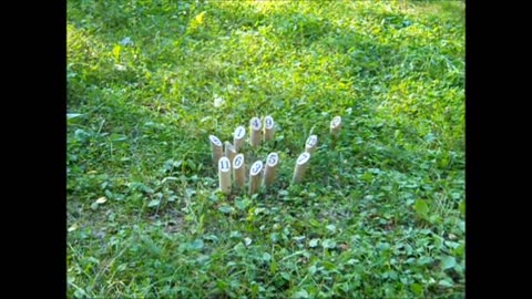 Mölkky heittoja Suomisella