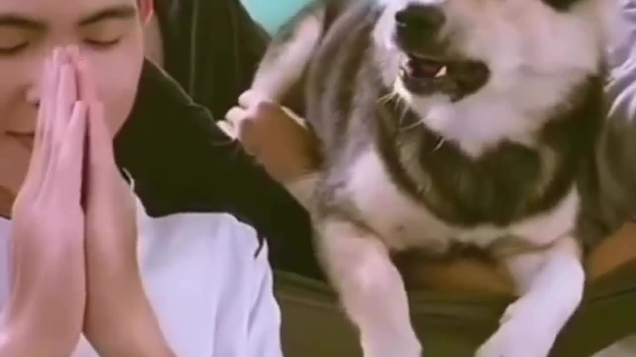 Funny video 😁😀, #funny