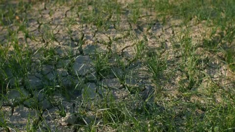 Is Climate Change Same as Global Warming?