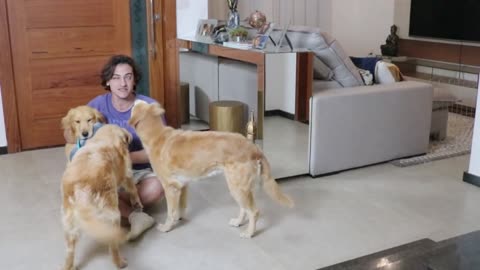 Faking My Death In Front of My Dog - Funny Dog Reacts- Our Pets 🐶