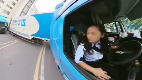 Professional Truck Driver