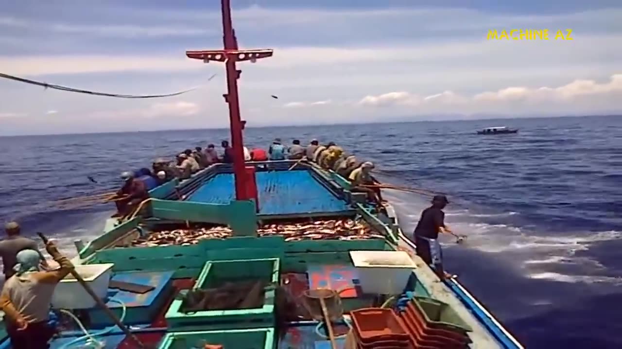 Amazing Fast Tuna Fishing Skill, Catching Fish Big on The Sea