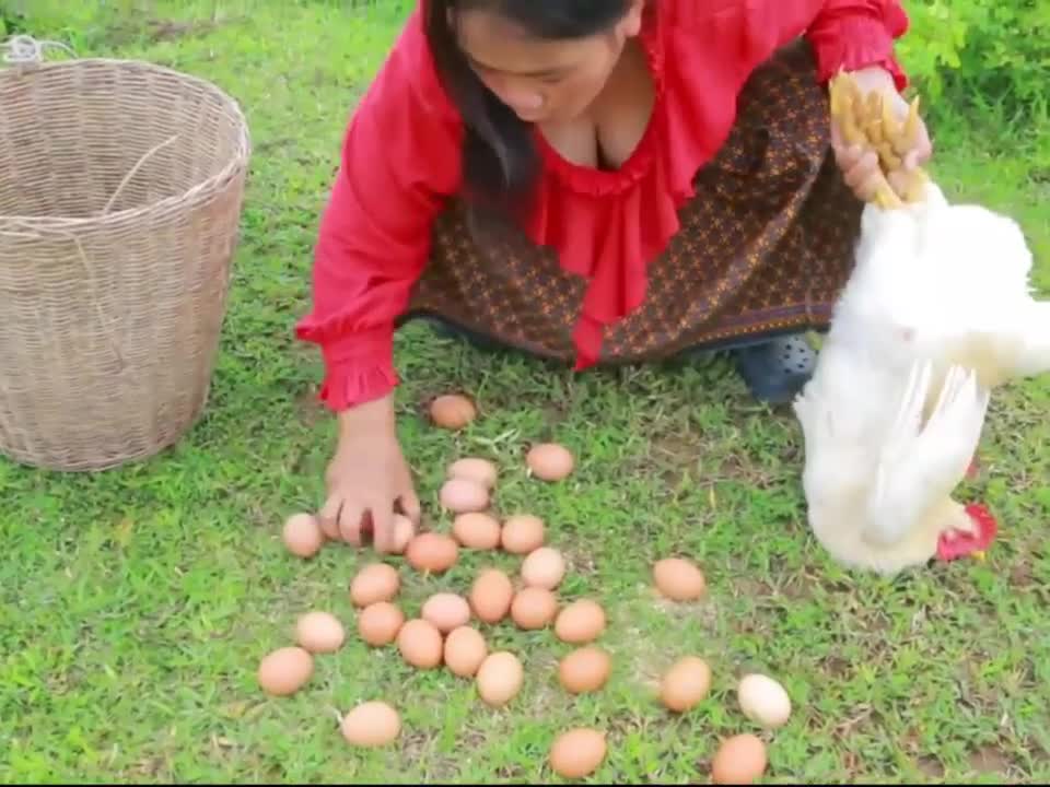 Feeding the Hens