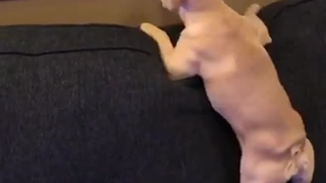 Can't climb up