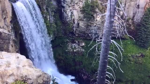 Relaxing, Calm, Stress Relief Music # 101