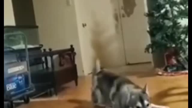 Did you laugh after you saw it?