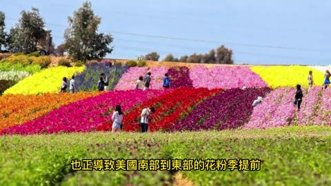 氣候變遷加劇亂流 空中驚魂頻傳