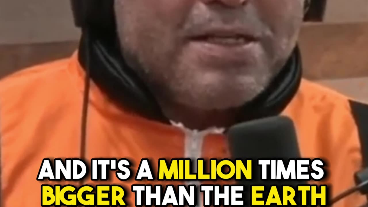 Joe Rogan: The Craziness Of Our Reality #shorts