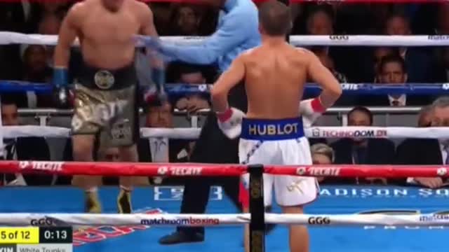 Can GGG Survive Canelo's Body Attack Take A Look 🤔🥊