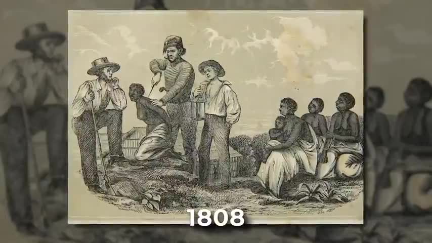 BREEDING FARMS IN THE DAYS OF SLAVERY - SOMETHING YOU MAY NOT HAVE GIVEN MUCH THOUGHT